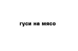 гуси на мясо